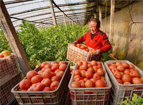 這些“三農(nóng)”內(nèi)容，讓農(nóng)民增收有了新“密碼”