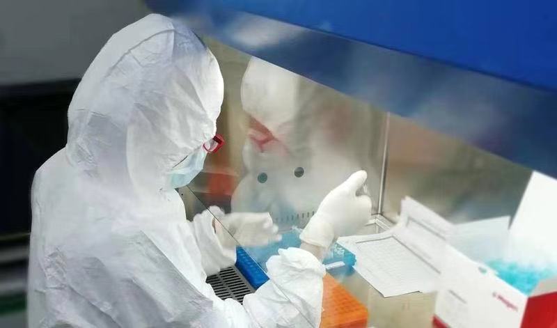 中國抗疫做到了早、快、透明