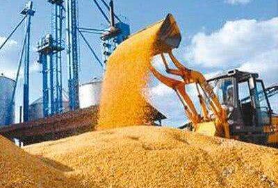 謹(jǐn)防低價(jià)糧進(jìn)口損害產(chǎn)業(yè)安全