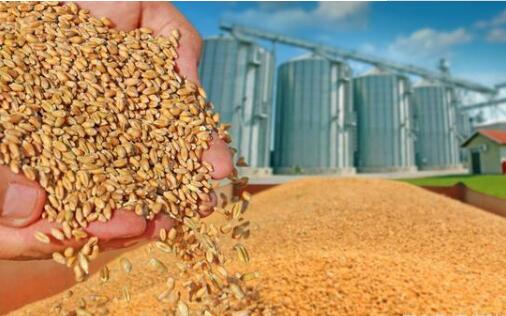 摒棄“重產(chǎn)輕儲”建好農(nóng)戶糧倉