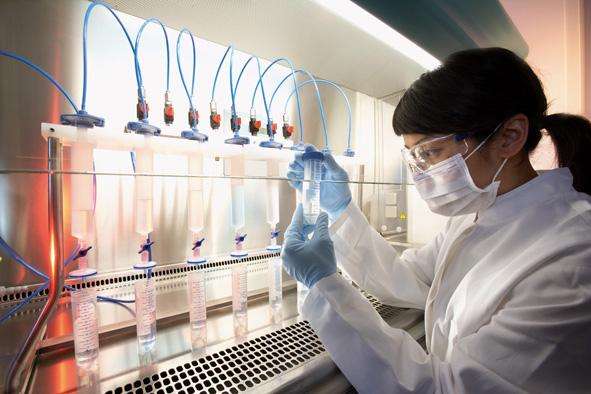 福建基礎(chǔ)研究實力穩(wěn)步攀升