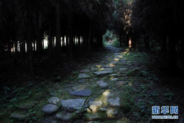 四川滎經：修復茶馬古道