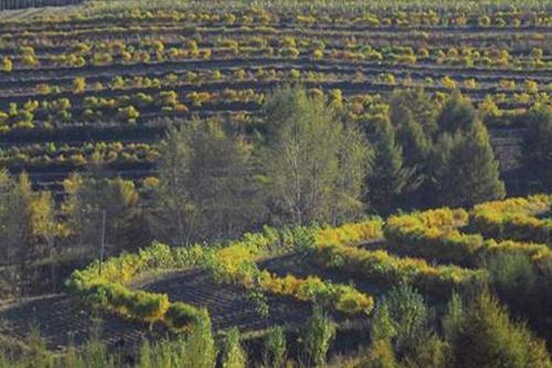 黑龍江省出臺水土保持生態(tài)產品價值核算指南