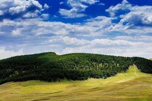 2025年度全國(guó)國(guó)土變更調(diào)查及森林草原濕地荒漠調(diào)查監(jiān)測(cè)工作啟動(dòng)