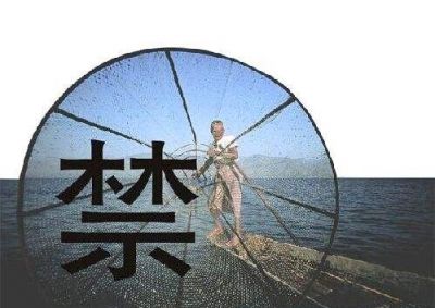 守護(hù)母親河重現(xiàn)生機——多部門回應(yīng)長江禁捕熱點問題