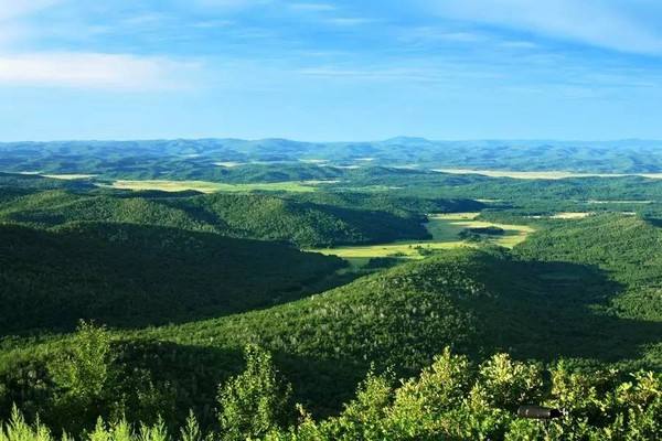 到2030年國有林場單位面積森林蓄積量將提高約5%