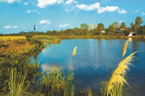 科技賦能、精準治理 我國將繼續(xù)夯實美麗中國生態(tài)根基