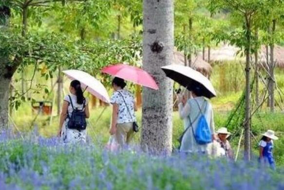 假日文旅“熱”展現(xiàn)中國(guó)經(jīng)濟(jì)活力