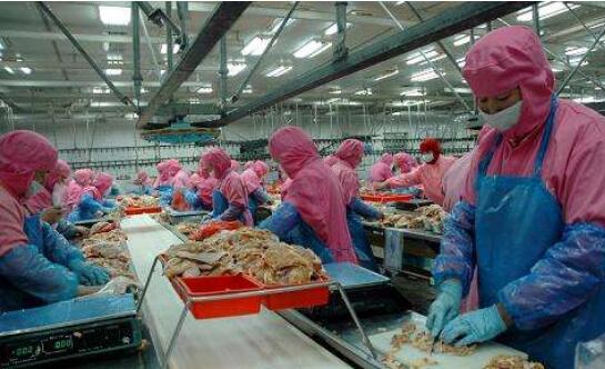 前三季度福建肉制品出口大幅增長 出口規(guī)模居全國第三