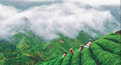 首部生態(tài)環(huán)境監(jiān)測專門行政法規(guī)公布，有何亮點(diǎn)？