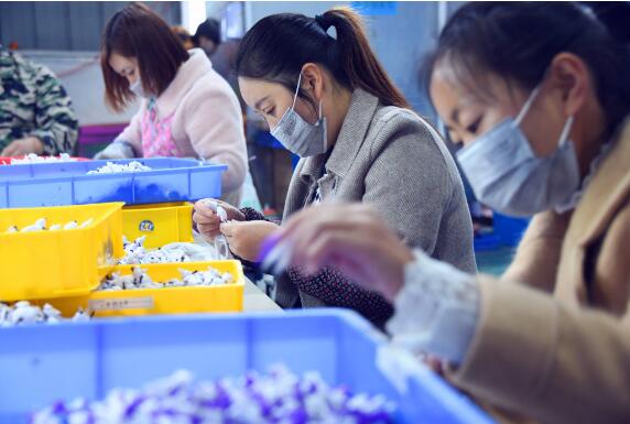 海南全方位支持低收入人口就業(yè)創(chuàng)業(yè)