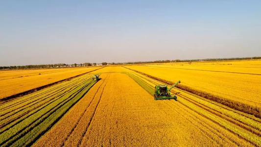 10月涉農(nóng)企業(yè)品牌傳播影響力排行榜TOP20出爐：百果園第一，溫氏股份第十