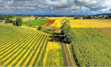 中國(guó)技術(shù)助力全球南方國(guó)家農(nóng)業(yè)發(fā)展