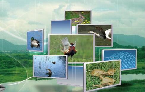 農業(yè)農村現(xiàn)代化按下“快進鍵”