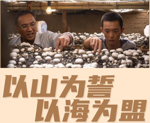 9.4分的扶貧劇《山海情》火了，憑什么？