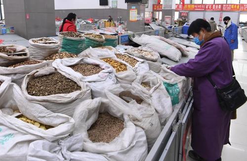 部分中藥材遭過度炒作 抑制投機需多管齊下