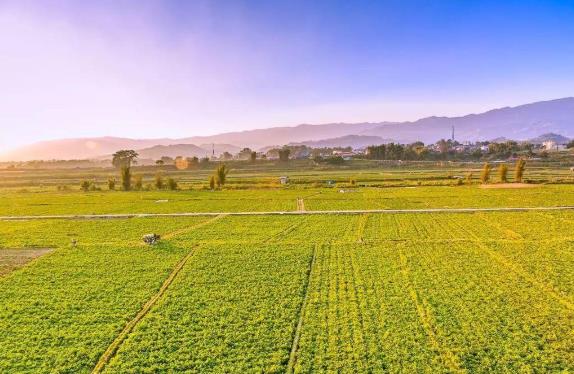 四川耕地林地園地空間治理“—張圖”建設(shè)全面鋪開