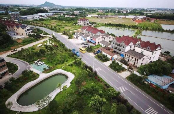 中共中央 國(guó)務(wù)院關(guān)于錨定農(nóng)業(yè)農(nóng)村現(xiàn)代化 扎實(shí)推進(jìn)鄉(xiāng)村全面振興的意見