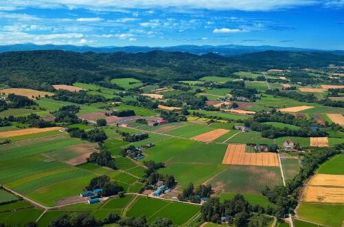 福建：省級財政下達銜接推進鄉(xiāng)村振興補助資金1.8億元