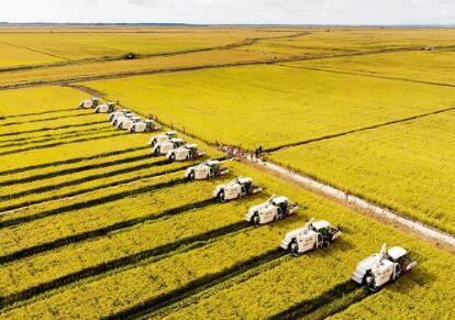 福建省“三農(nóng)”工作取得新成效