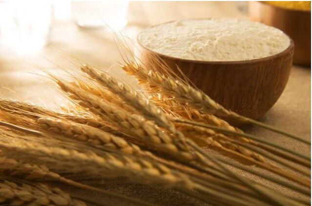 中國(guó)碗要裝更多優(yōu)質(zhì)糧