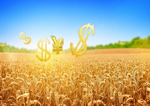 提升農(nóng)業(yè)產(chǎn)能和質(zhì)量效益