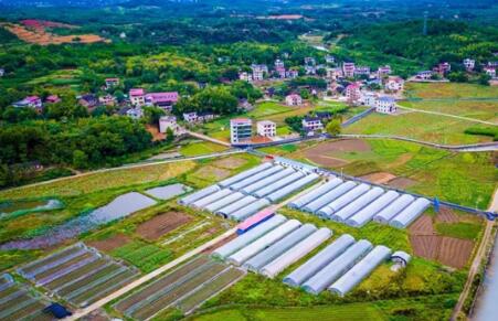 河南2026年年底前實(shí)現(xiàn)鄉(xiāng)村地區(qū)規(guī)劃管理全覆蓋