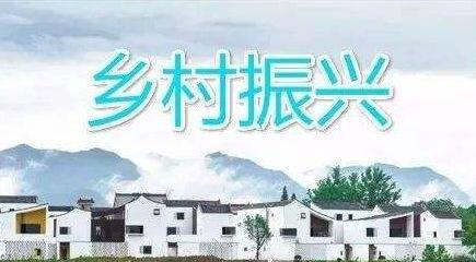 我國推進鄉(xiāng)村全面振興取得積極進展