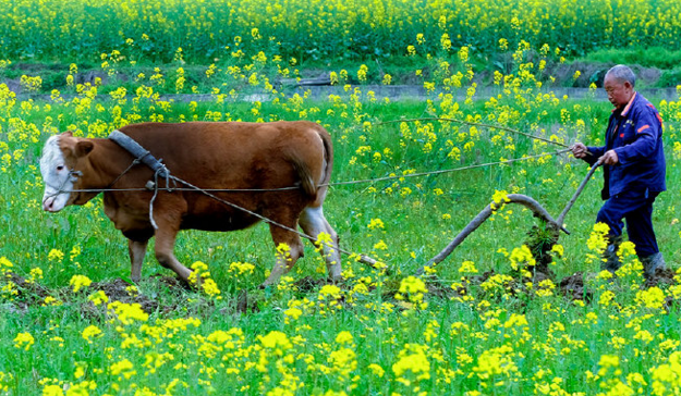《人類減貧的中國(guó)實(shí)踐》白皮書發(fā)布 一組數(shù)據(jù)看中國(guó)減貧成就