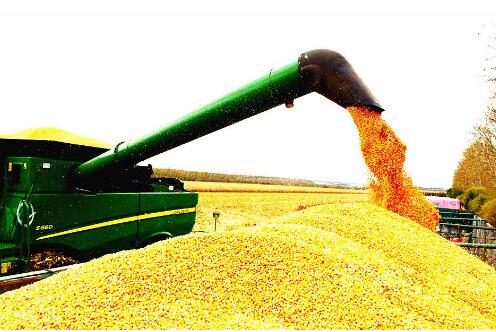 福建：連續(xù)多年實(shí)現(xiàn)糧食面積、總產(chǎn)、單產(chǎn)“三增長(zhǎng)”