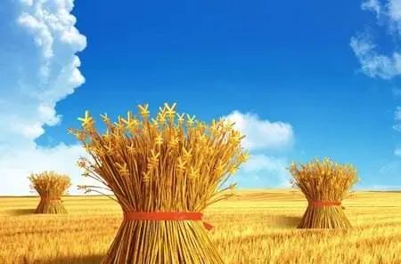 內蒙古伊金霍洛旗設立共同富裕資金——工業(yè)反哺農業(yè)支持鄉(xiāng)村振興