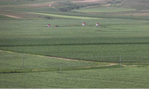 《黑龍江省定制農(nóng)業(yè)工作指南（試行）》印發(fā)