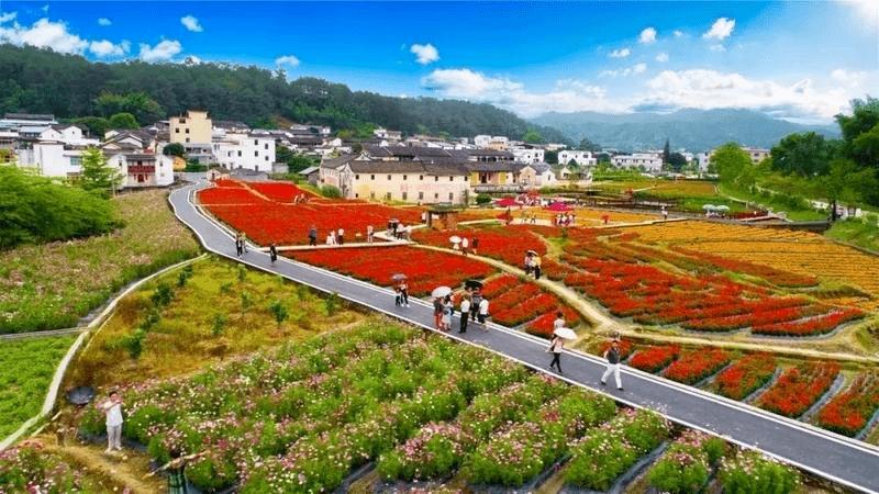 有綠、有技、有特色——在“活力中國調(diào)研行”中感受鄉(xiāng)村振興新活力