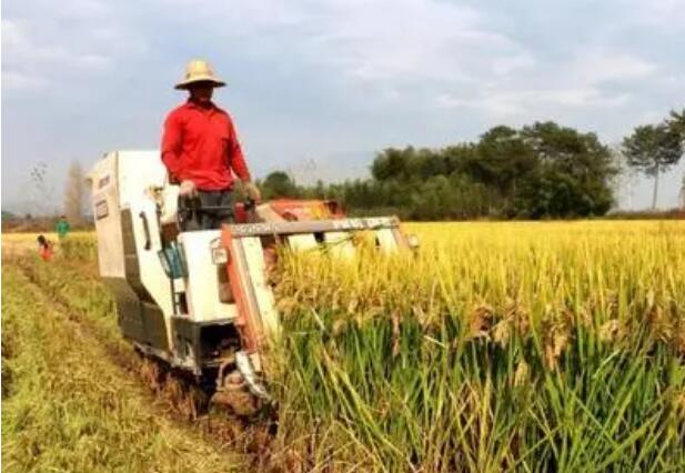 讓農(nóng)民種糧更加省心、省錢、省力