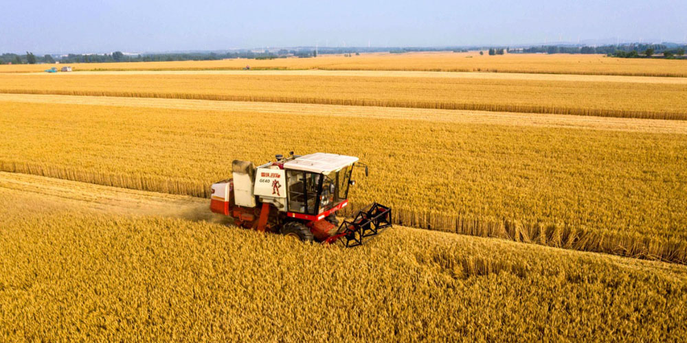 奮進(jìn)內(nèi)蒙古·發(fā)展有底氣｜河套糧倉 科技領(lǐng)航