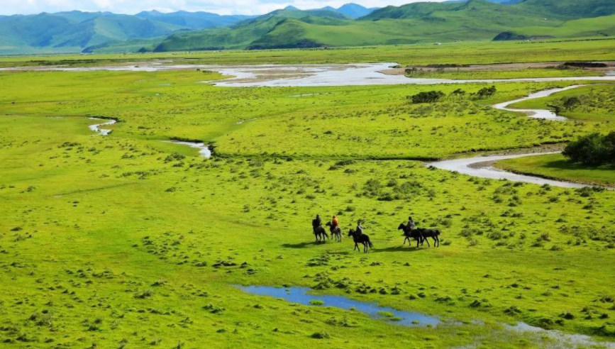 阿壩推出153個(gè)項(xiàng)目：文旅類項(xiàng)目近半 總投資306億元