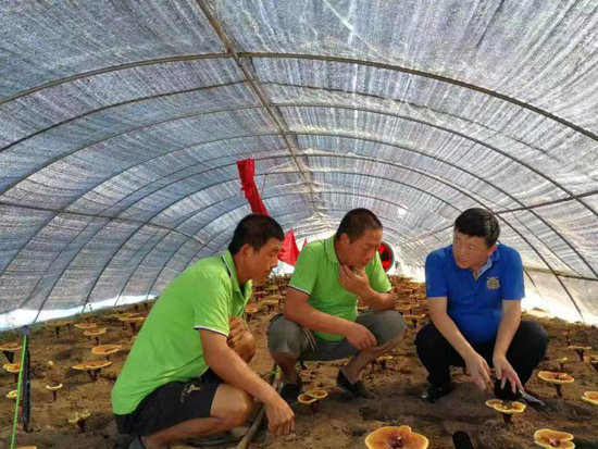 “他，獲得榮譽(yù)稱(chēng)號(hào)一點(diǎn)也不虧！”——記黑龍江坤健農(nóng)業(yè)股份有限公司董事長(zhǎng)祝嗣臣