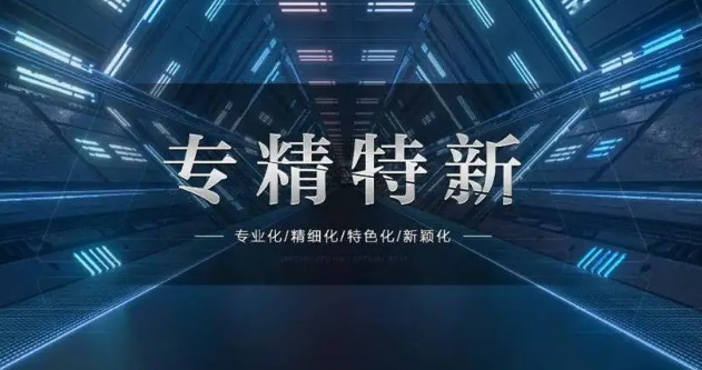 截至去年底，上海已累計(jì)培育專(zhuān)精特新企業(yè)超1萬(wàn)家