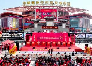 打造“世界中醫(yī)藥之都”，為什么是亳州？