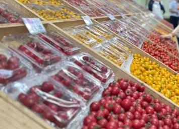 在山東濰坊壽光，看“中國蔬菜之鄉(xiāng)”的新時(shí)代發(fā)展圖景