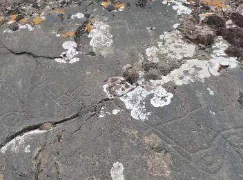 距今3000多年！青海新發(fā)現(xiàn)一處罕見巖畫群