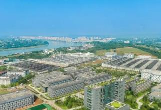 被授予“中國生態(tài)白酒之鄉(xiāng)” 四川宜賓南溪如何推動(dòng)白酒產(chǎn)業(yè)綠色低碳可持續(xù)發(fā)展？