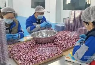 年加工百噸，產(chǎn)值5億元　哈爾濱木蘭縣擦亮“水蛭之鄉(xiāng)”金字招牌