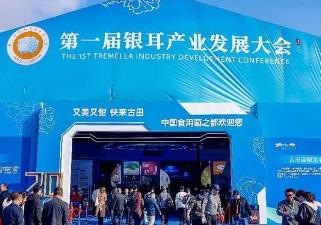 “銀耳之鄉(xiāng)”譜新篇：第一屆銀耳產(chǎn)業(yè)發(fā)展大會(huì)在古田開幕，引領(lǐng)鄉(xiāng)村振興新航程