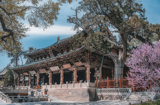 “詩(shī)與遠(yuǎn)方”更出彩 文旅市場(chǎng)多點(diǎn)開花