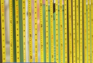 從“草根經(jīng)濟(jì)”走向“樹根經(jīng)濟(jì)”，小卷尺“丈量”大世界