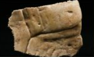 陜西周原遺址首次發(fā)現(xiàn)刻有“秦人”甲骨