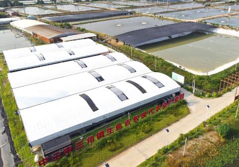 年產(chǎn)值超17億元 “中國生魚之鄉(xiāng)”探索智慧漁業(yè)發(fā)展