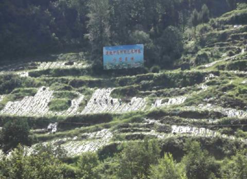 四川萬源通過“天麻之鄉(xiāng)”評審