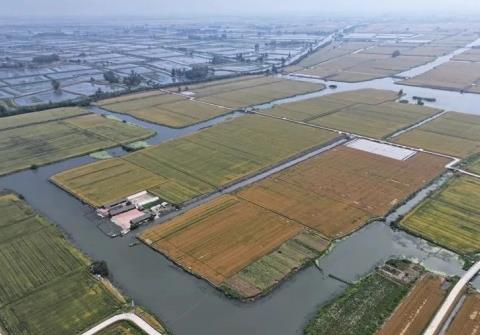 守好生態(tài)“財(cái)富”，江蘇興化打造新時(shí)代“魚(yú)米之鄉(xiāng)”